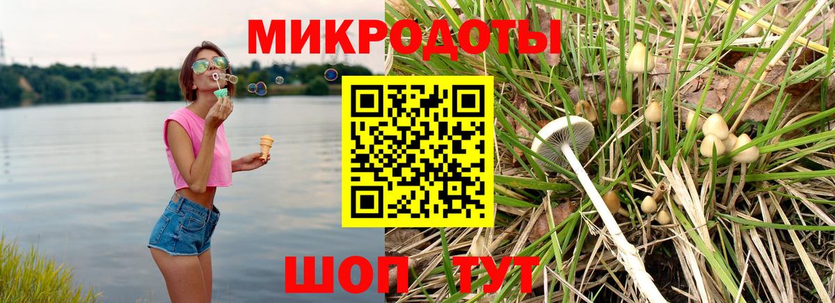 Псилоцибиновые грибы GOLDEN TEACHER  Вход с VPN  Десногорск 